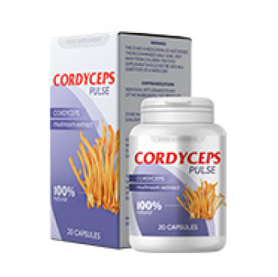 Cordyceps Pulse