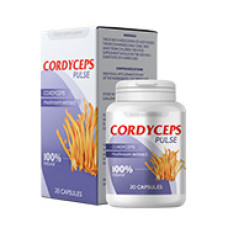 Cordyceps Pulse - odmłodzenie